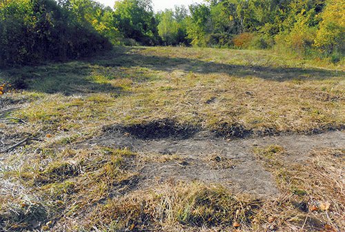 High ground on East side of property - REAL ESTATE AUCTION, 5.1 Acre Building Site, Sealed Bid Auction